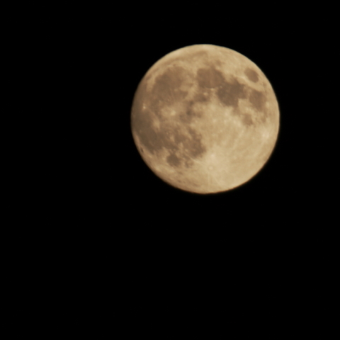 中秋の名月 2014