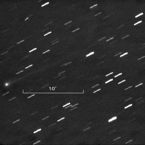 池谷・村上彗星11/21未明
