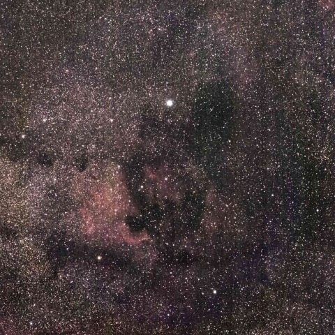 はくちょう座尾部