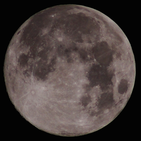 2025年のウルフムーン