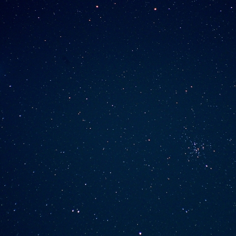 シリウスとM41
