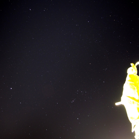 冬の大三角形と藤原俊成