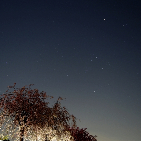 去り行くオリオン