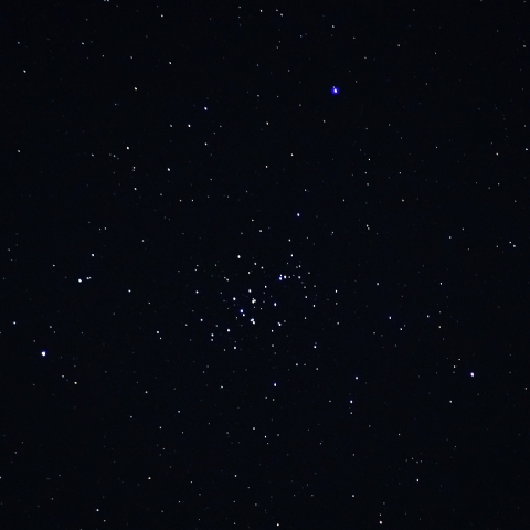 M44 プレセペ星団