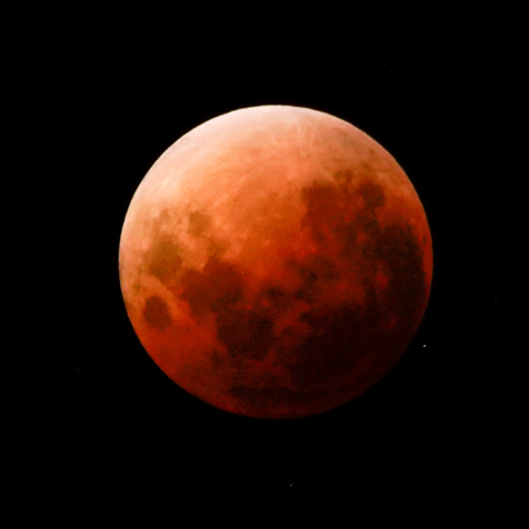 ひなまつり　皆既月食　from 南島＠ニュージーランド