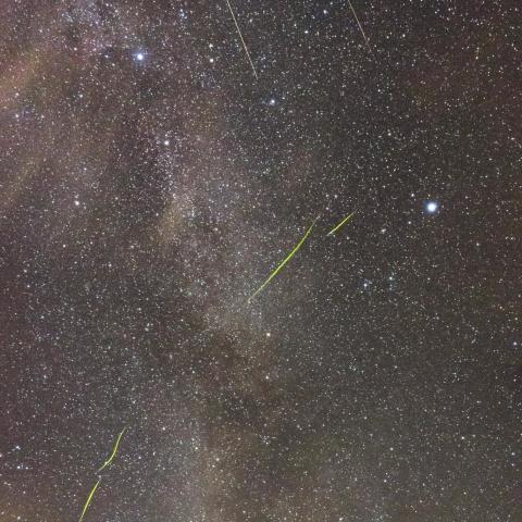 蛍とペルセウス座流星群