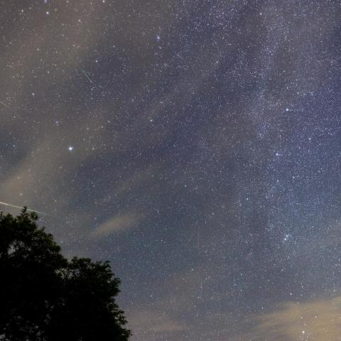 ペルセウス座流星群