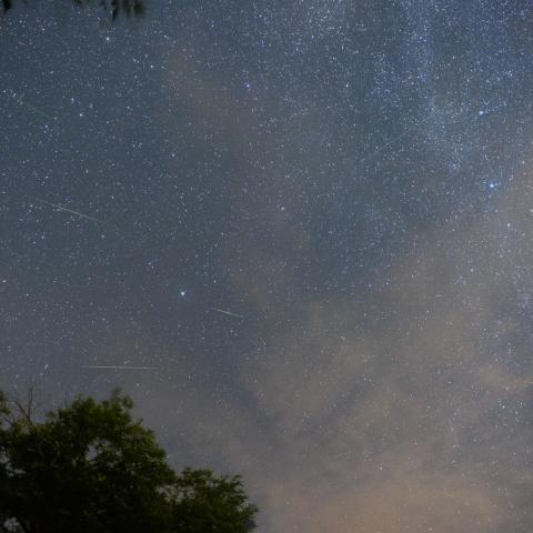 ペルセウス座流星群