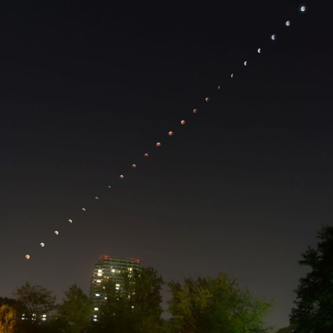 2014/10/8 皆既月食経過（札幌市天文台）