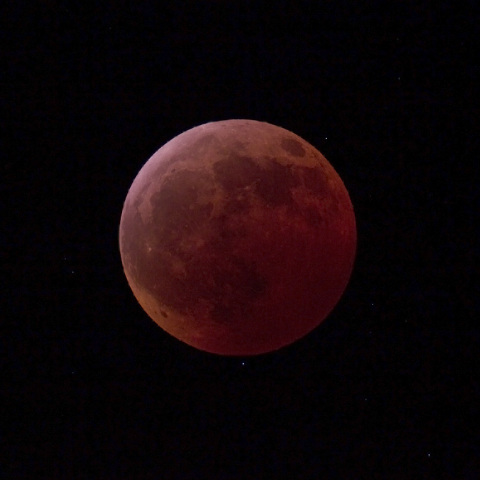 201012皆既月食（食の最大）