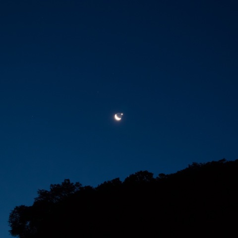 月と金星のコラボ