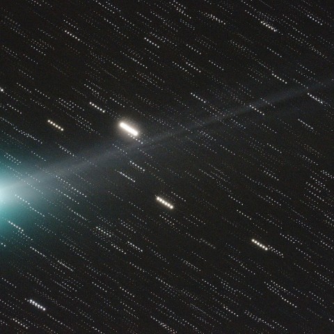 １１月１２日のラブジョイ彗星