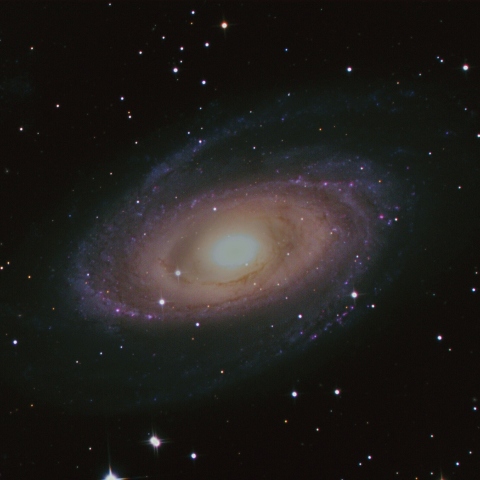 M81 
