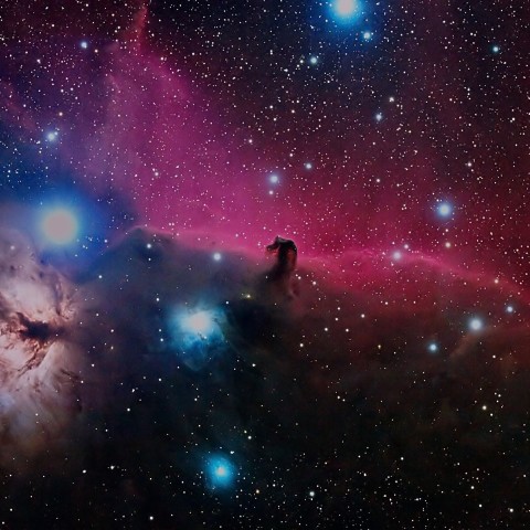 馬頭星雲とその周辺