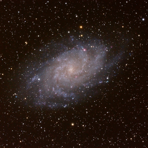 M33