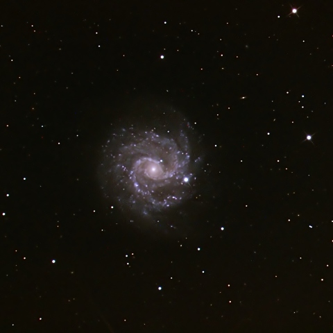 NGC3184