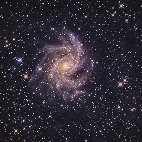 NGC6946