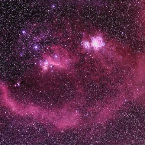 バーナードループ