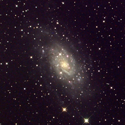NGC2403