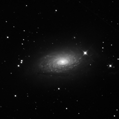 ひまわり銀河 M63