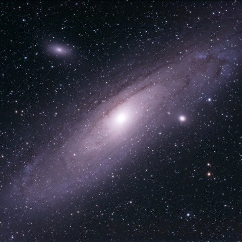 M31
