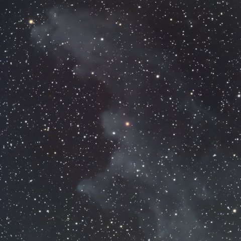 魔女の横顔　IC2118  