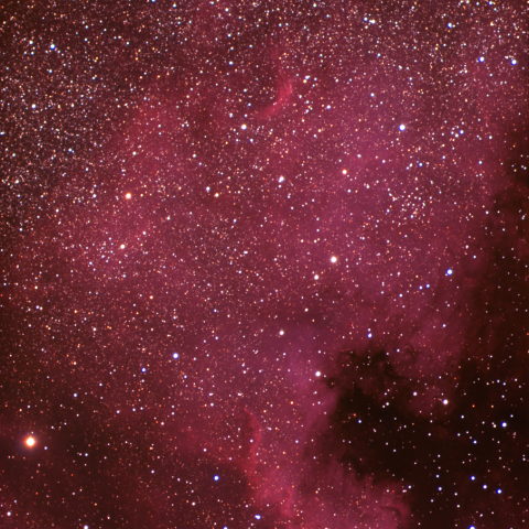 NGC7000  北アメリカ星雲