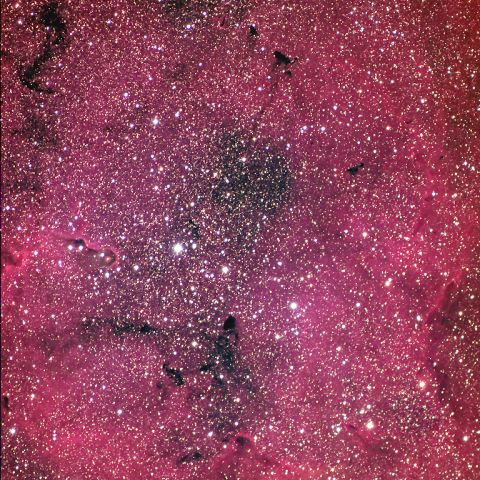 IC1396