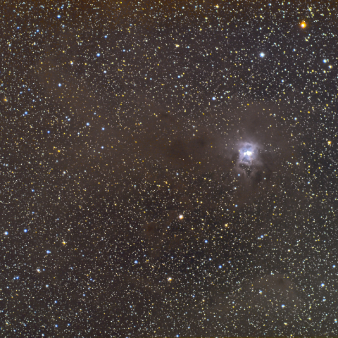 NGC7023  アイリス星雲