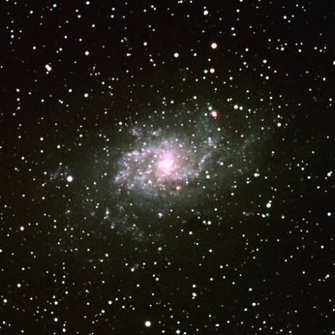 M33