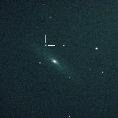 NGC3254 (SN2019np)