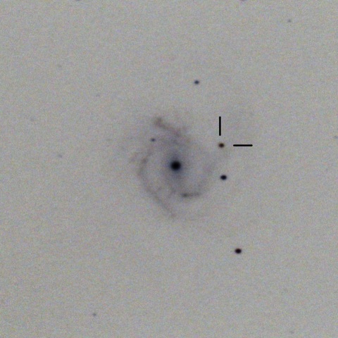 M61(SN2020jfo)