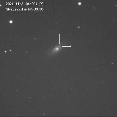 SN2022xxf (NGC3705)