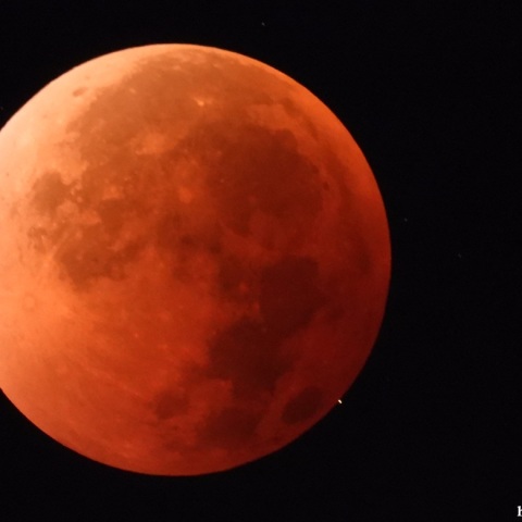 2025.9.8 皆既月食中の水瓶座 82番星が出現