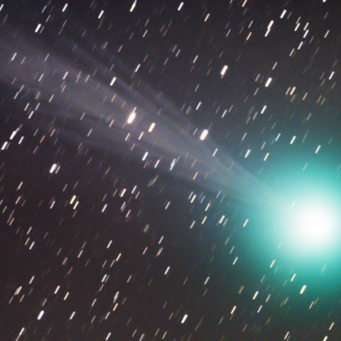 2015/01/07 ラブジョイ彗星(C/2014Q2)