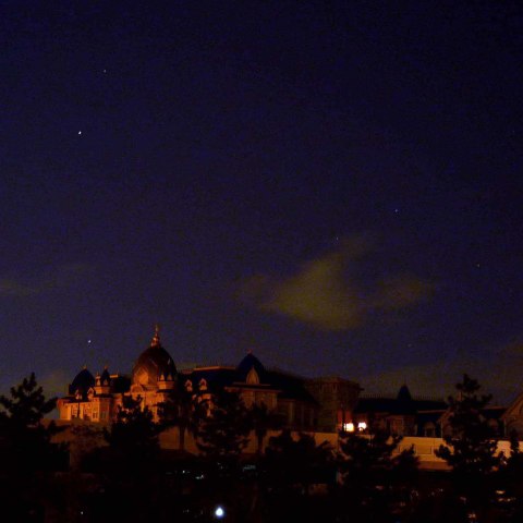 春の星座とディズニーリゾート