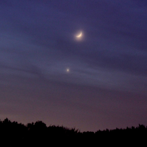 金星・月conjunction