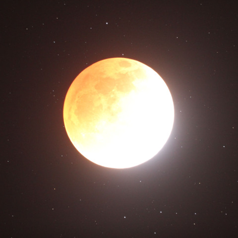 星月夜・皆既月食20111210