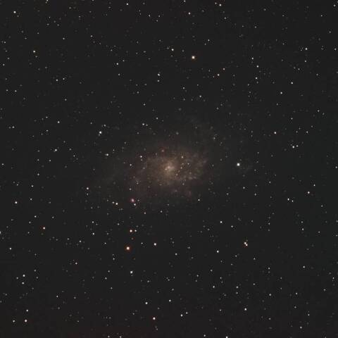 M33