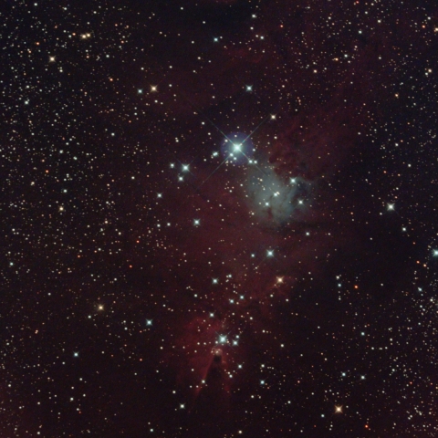 NGC2264付近