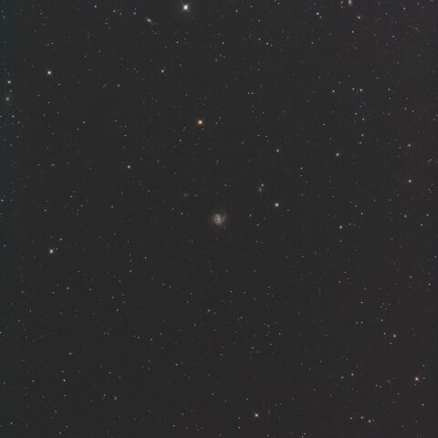 M61に現れた超新星 SN2020jfo