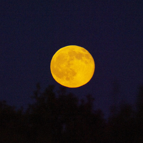 月齢１６の満月