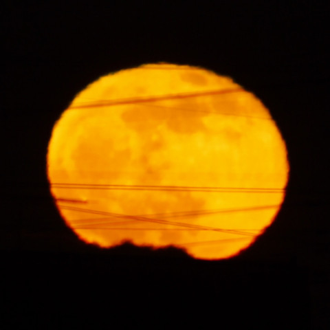 今年初めての月出（１）ひしゃげた月