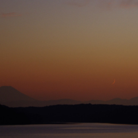月と金星の接近
