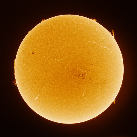 Sun 2026/01/12