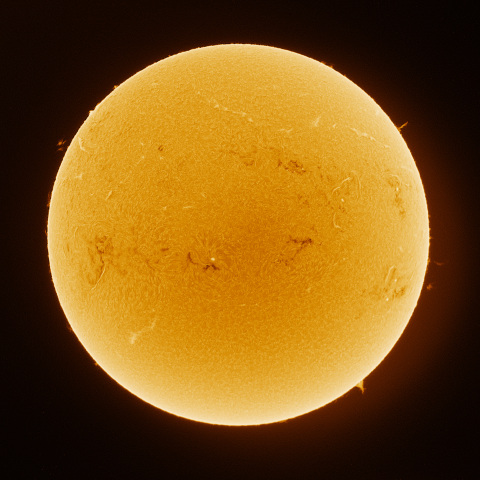 Sun 2026/01/25