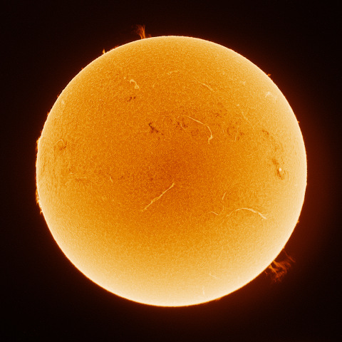 Sun 2026/02/19