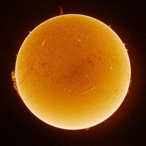 Sun 2026/02/21
