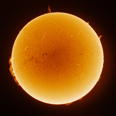 Sun 2026/02/22