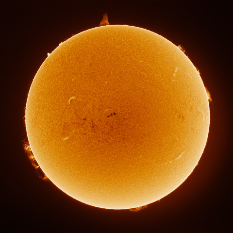Sun 2026/02/23